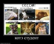 Прикрепленное изображение: 853345_kote_student.thumbnail.jpg