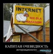 Прикрепленное изображение: 1258071089_1256553294_710.jpg
