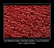 Прикрепленное изображение: 1239218785_32.jpg
