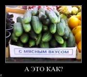 Прикрепленное изображение: demotivators_09_111.jpg