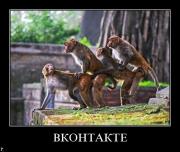 Прикрепленное изображение: demotiavatori_92.jpg