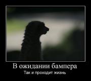 Прикрепленное изображение: demotivators_15_.jpg