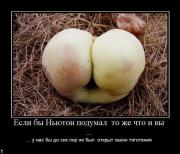 Прикрепленное изображение: demotivatory_1120_155.jpg