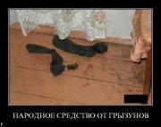 Прикрепленное изображение: demotivators_09_53.jpg