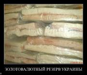 Прикрепленное изображение: demotivators_09_127.jpg