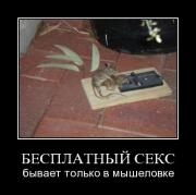 Прикрепленное изображение: 1260868238_018.jpg