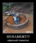 Прикрепленное изображение: 1262076560_056.jpg