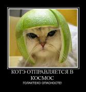 Прикрепленное изображение: 4.jpg