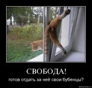 Прикрепленное изображение: 1241245073_gkbhnmopk2t3.jpg