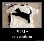 Прикрепленное изображение: 1261333411_fd1vjhdidjrc.jpg
