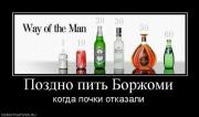 Прикрепленное изображение: 150__33.jpg