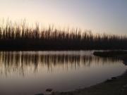 Прикрепленное изображение: DSC03128.JPG