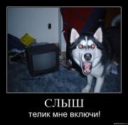 Прикрепленное изображение: 1.jpg