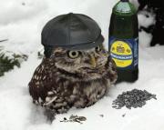 Прикрепленное изображение: x_b7d7b27f.jpg