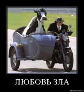 Прикрепленное изображение: 0hxieu1v7o33.jpg