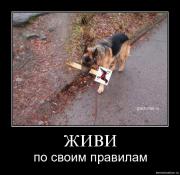 Прикрепленное изображение: gj506fysli0w.jpg