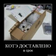 Прикрепленное изображение: ud7pumoru2mj.jpg