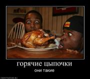 Прикрепленное изображение: 13550_goryachie_tsyipochki.jpg