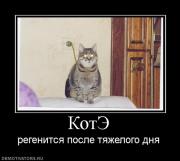 Прикрепленное изображение: 599517_kote.jpg