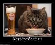 Прикрепленное изображение: 82733_kotefutbolfan.jpg