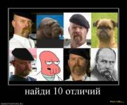 Прикрепленное изображение: 1260657666_x_1edb75d4.jpg
