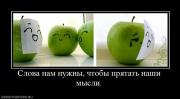 Прикрепленное изображение: 692938_slova_nam_nuzhnyi_chtobyi_pryatat_nashi_myisli.jpg