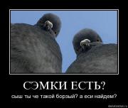 Прикрепленное изображение: __________.jpg