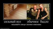 Прикрепленное изображение: 7807_silnyij_pol_obyichnoe_byidlo.jpg