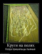 Прикрепленное изображение: 52732_krugi_na_polyah.jpg