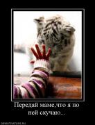 Прикрепленное изображение: 97610_peredaj_mamechto_ya_po_nej_skuchayu.jpg