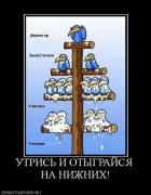Прикрепленное изображение: 123.JPG