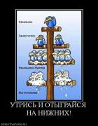 Прикрепленное изображение: 291641_utris_i_otyigrajsya_na_nizhnih.jpg