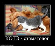 Прикрепленное изображение: 305247_kote_stomatolog.jpg