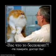 Прикрепленное изображение: 384556__vas_chto_to_bespokoit.jpg