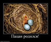 Прикрепленное изображение: 426497_patsan_rodilsya.jpg