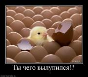 Прикрепленное изображение: 690613_tyi_chego_vyilupilsya.jpg