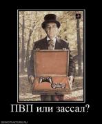 Прикрепленное изображение: 956690_pvp_ili_zassal.jpg