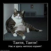 Прикрепленное изображение: 196032_taiti_taiti.jpg
