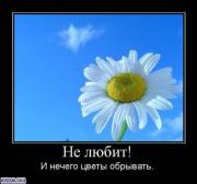 Прикрепленное изображение: x_cd7389f8.jpg