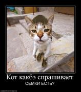 Прикрепленное изображение: 363331_kot_kakbe_sprashivaet.jpg