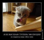 Прикрепленное изображение: 1256653905_1.jpg