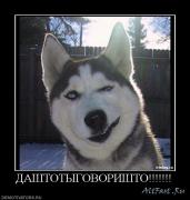 Прикрепленное изображение: 1242235089_807152_dashtotyigovorishto.jpg