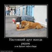 Прикрепленное изображение: 1134243I.jpg