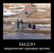 Прикрепленное изображение: 10xpnjqyl4s2.jpg