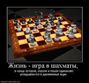 Прикрепленное изображение: 328380_zhizn_igra_v_shahmatyi_.jpg