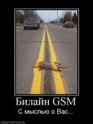 Прикрепленное изображение: 128806_bilajn_gsm.jpg