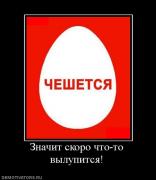 Прикрепленное изображение: 366651_znachit_skoro_chto_to_vyilupitsya.jpg