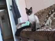 Прикрепленное изображение: DSC00027.JPG