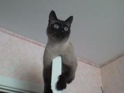 Прикрепленное изображение: DSC00048.JPG