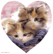 Прикрепленное изображение: image08.gif